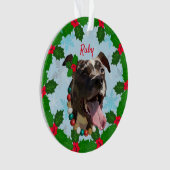 Ruby Ornament (voorkant)