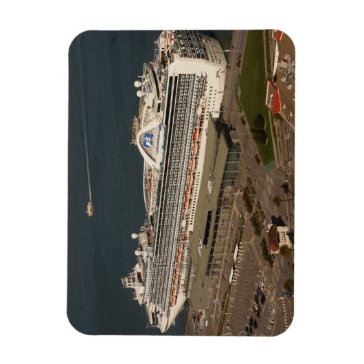 Ruby Princess Cruise, SF Magnet Magneet (Verticaal)