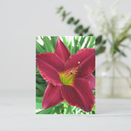 Ruby Red Daylily Briefkaart (Staand voorkant)