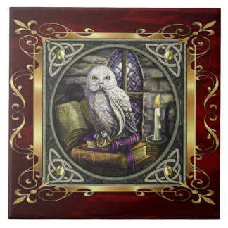 Ruby Red Medieval Witchcraft Ritual Alter Offing Tegeltje