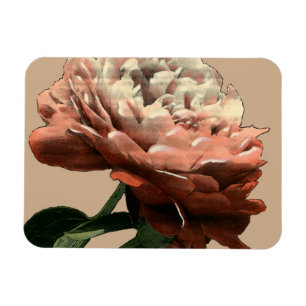 Ruby Red Rose met White Accents Magneet