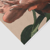 Ruby Red Rose met White Accents Tissuepapier (Detail)