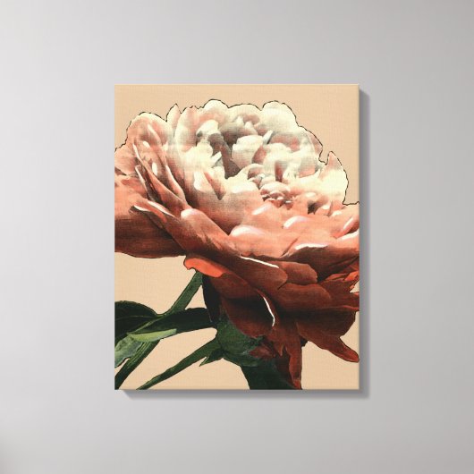 Ruby Red Rose with White Accents Canvas Afdruk (Voorkant)