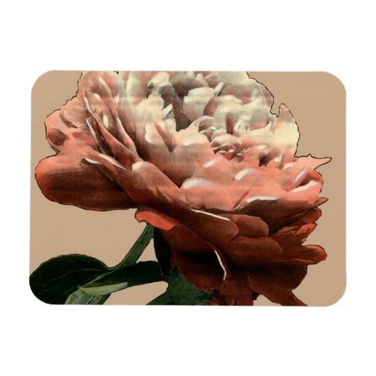 Ruby Red Rose with White Accents Magneet (Horizontaal)