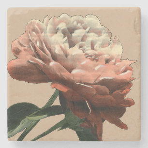 Ruby Red Rose with White Accents Stenen Onderzetter