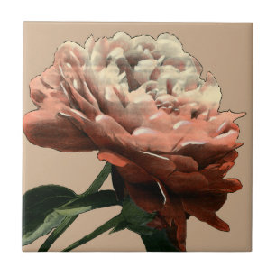 Ruby Red Rose with White Accents Tegeltje