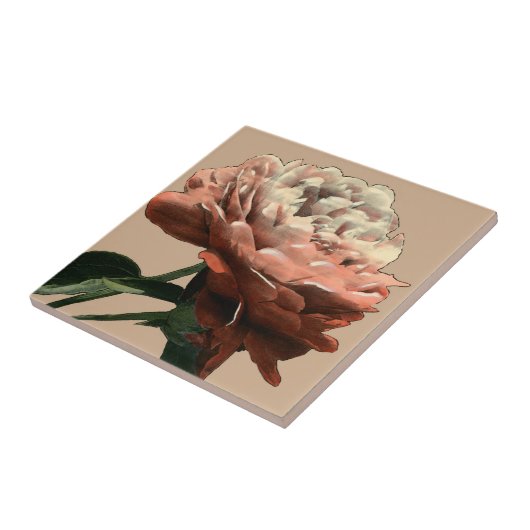 Ruby Red Rose with White Accents Tegeltje (Zijkant)