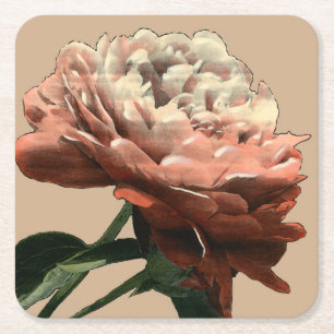 Ruby Red Rose with White Accents Vierkante Kartonnen Onderzetter