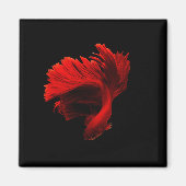 Ruby Rode Siamese Vechtvissen Magneet (Voorkant)