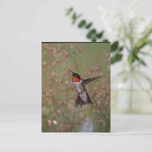Ruby Throated Humming Bird Briefkaart (Staand voorkant)