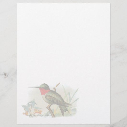 Ruby Throated Humming Bird Letterhead (Voorkant)