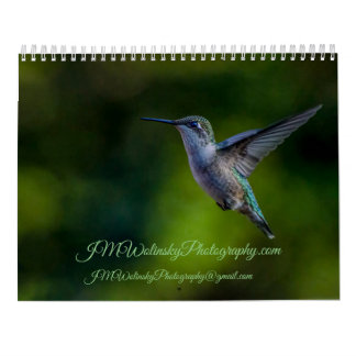 Ruby Throated Hummingbird 2025Kalender Kalender