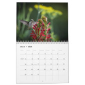 Ruby Throated Hummingbird 2026 Calendar Kalender (Mar 2026)
