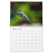 Ruby Throated Hummingbird 2026 Calendar Kalender (Feb 2026)