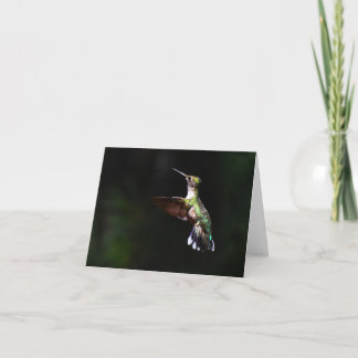 Ruby-throated Hummingbird #2 - Blank Note Kaart