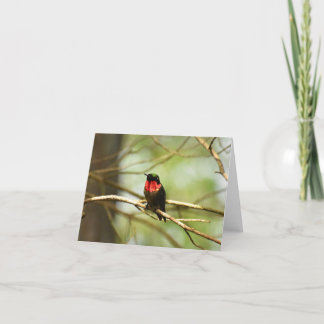 Ruby-throated Hummingbird #4 - Blank Note Kaart