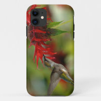 Ruby-Throated Hummingbird Archilochus Colubris