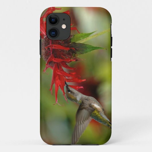 Ruby-Throated Hummingbird Archilochus Colubris Case-Mate iPhone Case (Achterkant)
