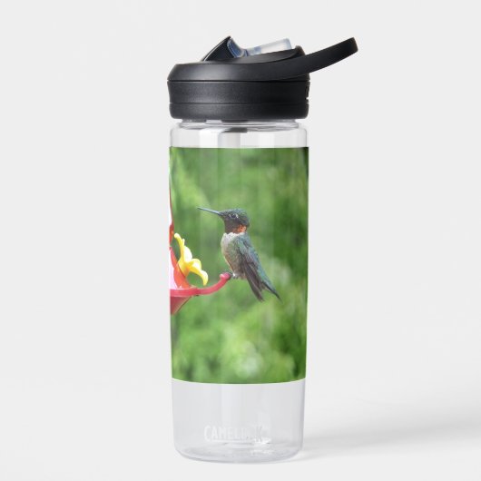 Ruby-Throated Hummingbird Bird Photography Waterfles (Links)