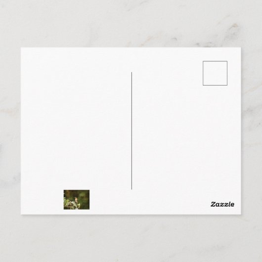 Ruby Throated Hummingbird Briefkaart (Achterkant)