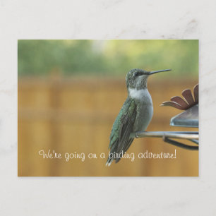 Ruby Throated Hummingbird Briefkaart