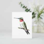 Ruby-throated Hummingbird Briefkaart (Staand voorkant)