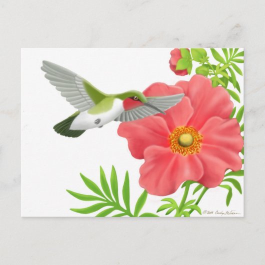 Ruby Throated Hummingbird Briefkaart (Voorkant)