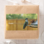 Ruby Throated Hummingbird Etiket (Insitu)