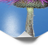 Ruby-throated Hummingbird Foto Afdruk (Hoek)