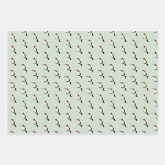Ruby-throated Hummingbird Inpakpapier Vel (Voorkant 3)