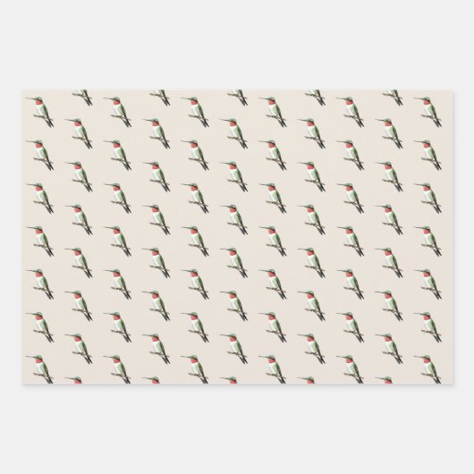 Ruby-throated Hummingbird Inpakpapier Vel (Voorkant)