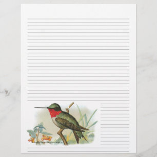  Ruby Throated Hummingbird Lined Letterhead