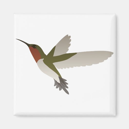 Ruby Throated Hummingbird Magneet (Voorkant)