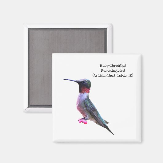 Ruby-Throated Hummingbird Magneet (Voorkant / Achterkant)
