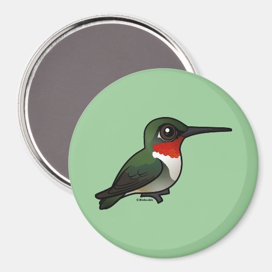 Ruby-throated Hummingbird Magneet (Voorkant / Achterkant)