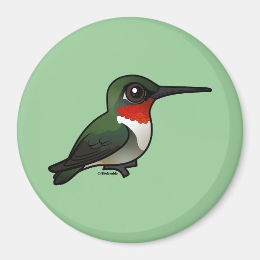 Ruby-throated Hummingbird Magneet (Voorkant)