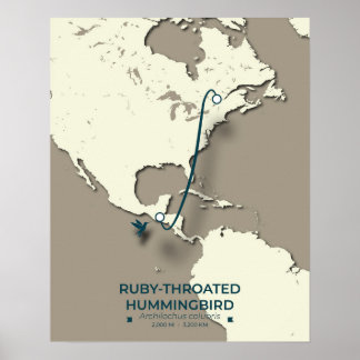Ruby-throated Hummingbird Migratie Kaart Poster
