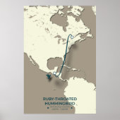 Ruby-throated Hummingbird-migratiekaart - Minimali Poster (Voorkant)