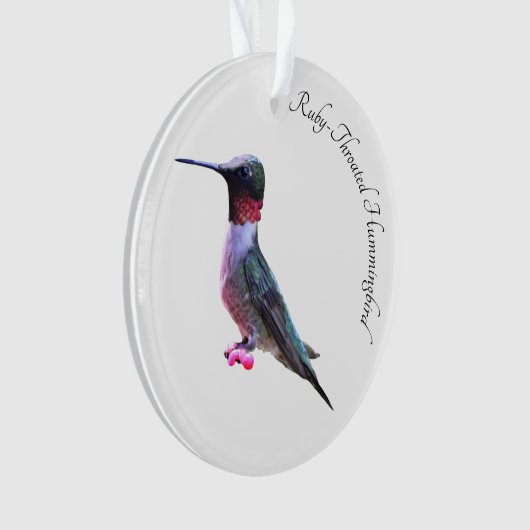 Ruby-Throated Hummingbird Ornament (voorkant)