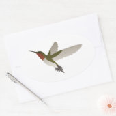 Ruby Throated Hummingbird Ovale Sticker (Envelop)