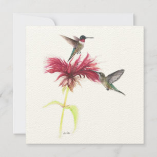 Ruby Throated Hummingbird Paar