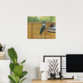Ruby Throated Hummingbird Poster (Thuiskantoor)
