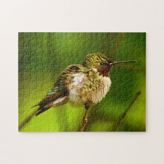 Ruby Throated Hummingbird Puzzel Legpuzzel (Horizontaal)