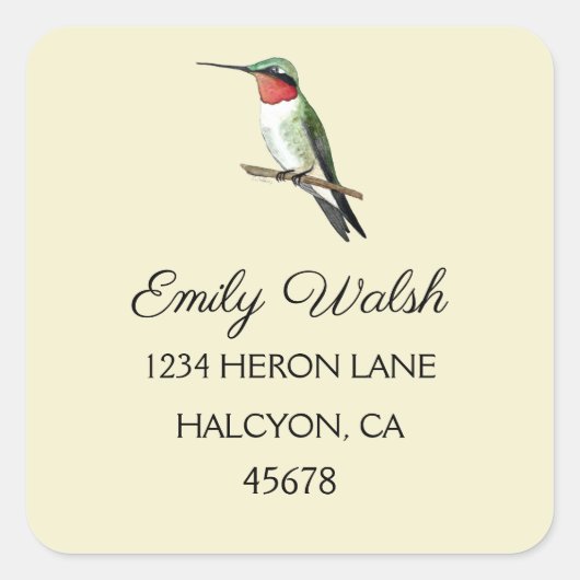 Ruby-throated Hummingbird Vierkante Sticker (Voorkant)