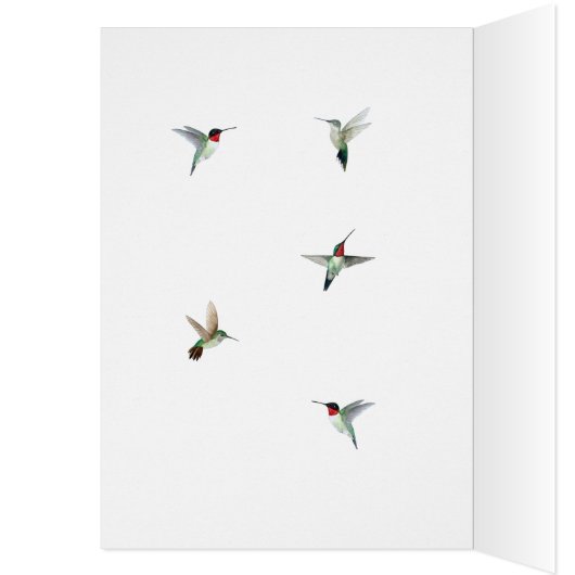 Ruby-throated Hummingbirds Birthday Card (Intérieur (Gauche))