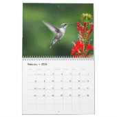 Ruby Throated Hummingbirds Kalender (Feb 2026)