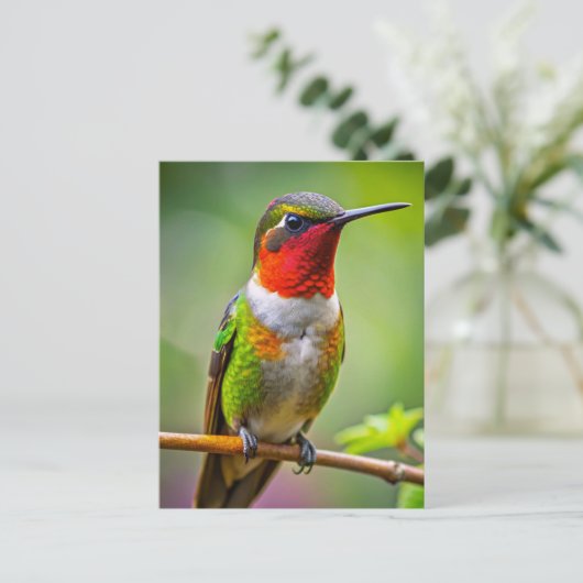 Ruby-throated kolibrie in rust briefkaart (Staand voorkant)