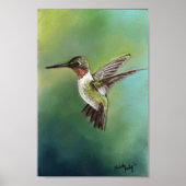 Ruby Throing Humming Bird Art Print (Voorkant)