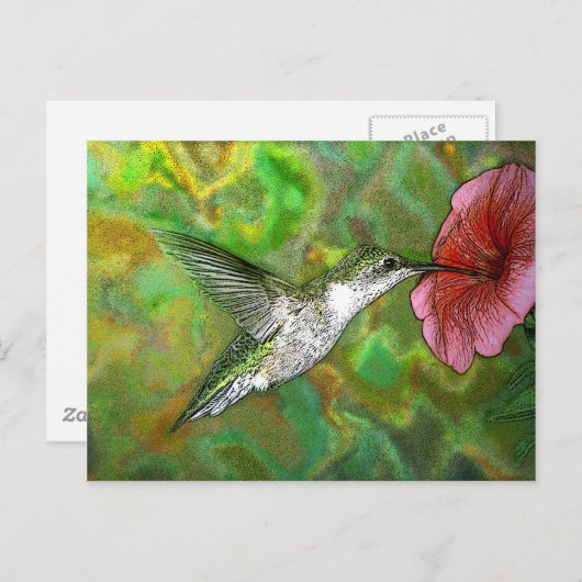 Ruby thromingbird briefkaart (Voorkant / Achterkant)