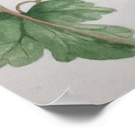 Ruby-thromingbird Garden Waterverf Poster (Hoek)